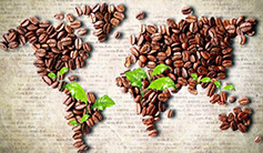 咖啡排气阀振兴咖啡计划